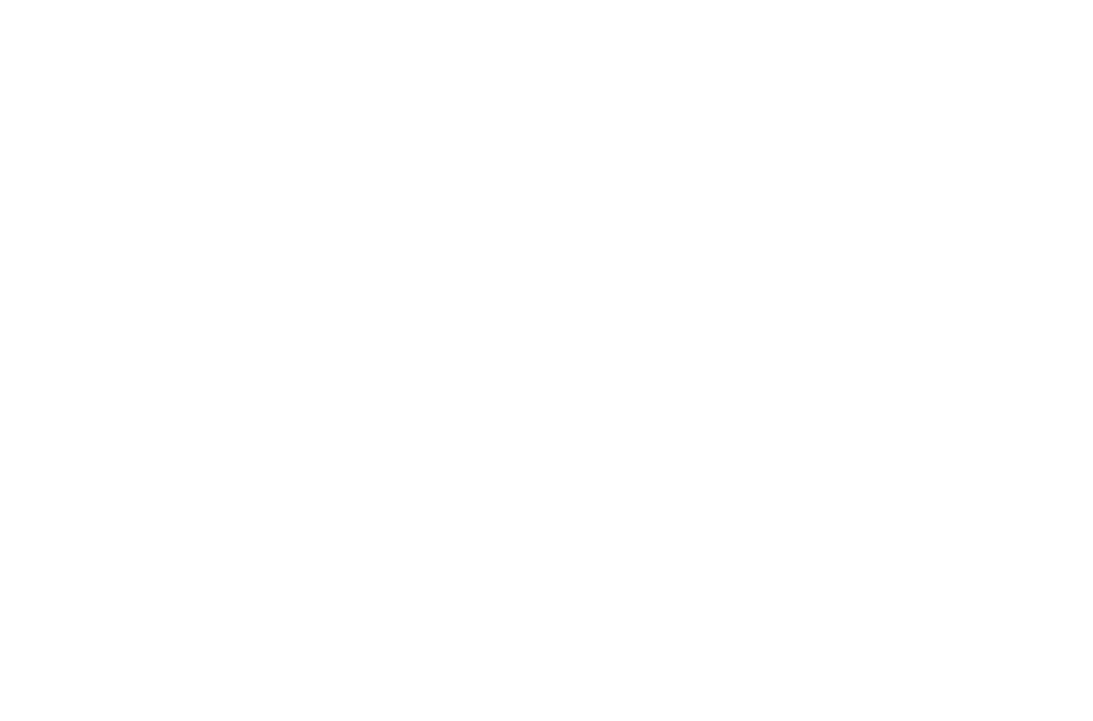 Butora Logo